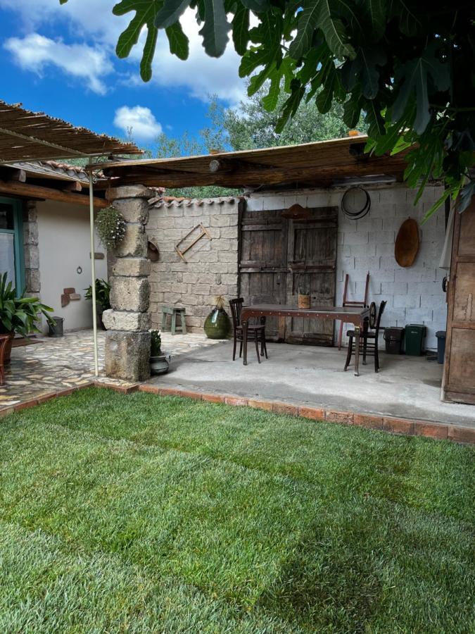 Hostal Graziosa Stanza Campidanese Su Terzu Oristano Exterior foto